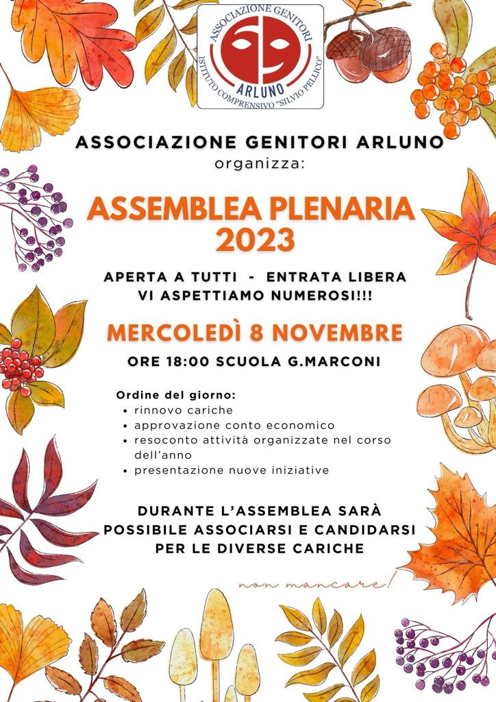 ASSEMBLEA PLENARIA